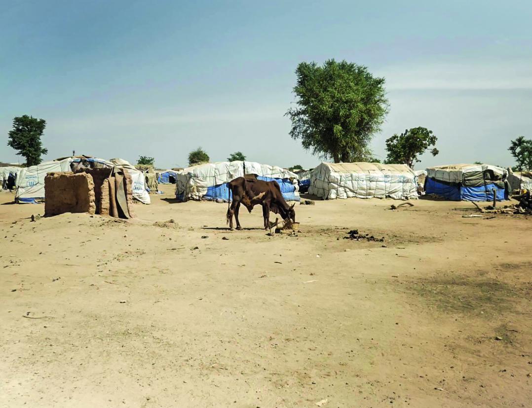 AVC Burkina Faso Camp AVC Burkina Faso Camp