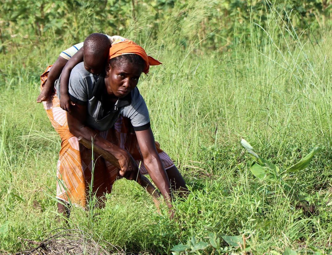 AVC Report 522 Burkina Faso Verfolgt Geflohen Neuanfang Acker Landwirtschaft 