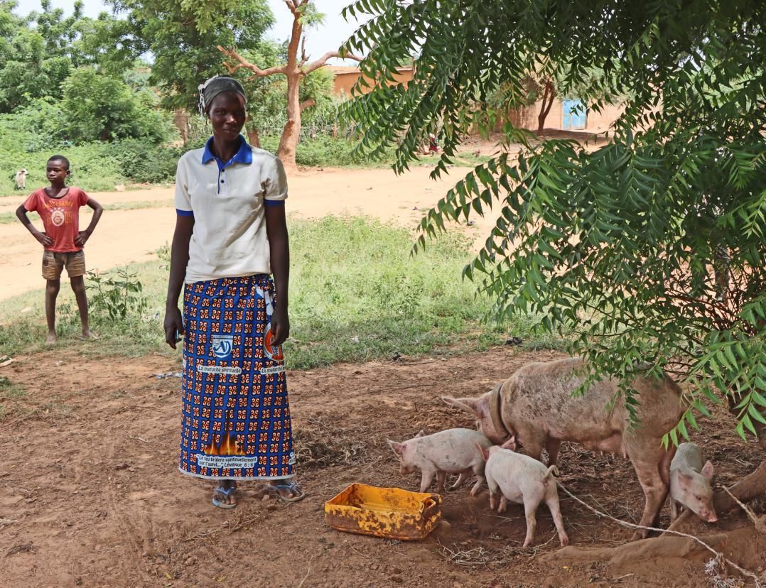 AVC News KW 31 Burkina Faso AVC News KW 31 Burkina Faso