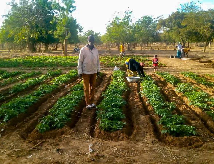 AVC Burkina Faso News KW 12 AVC Burkina Faso News KW 12