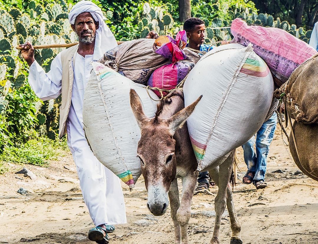 Report News Eritrea Report News Eritrea