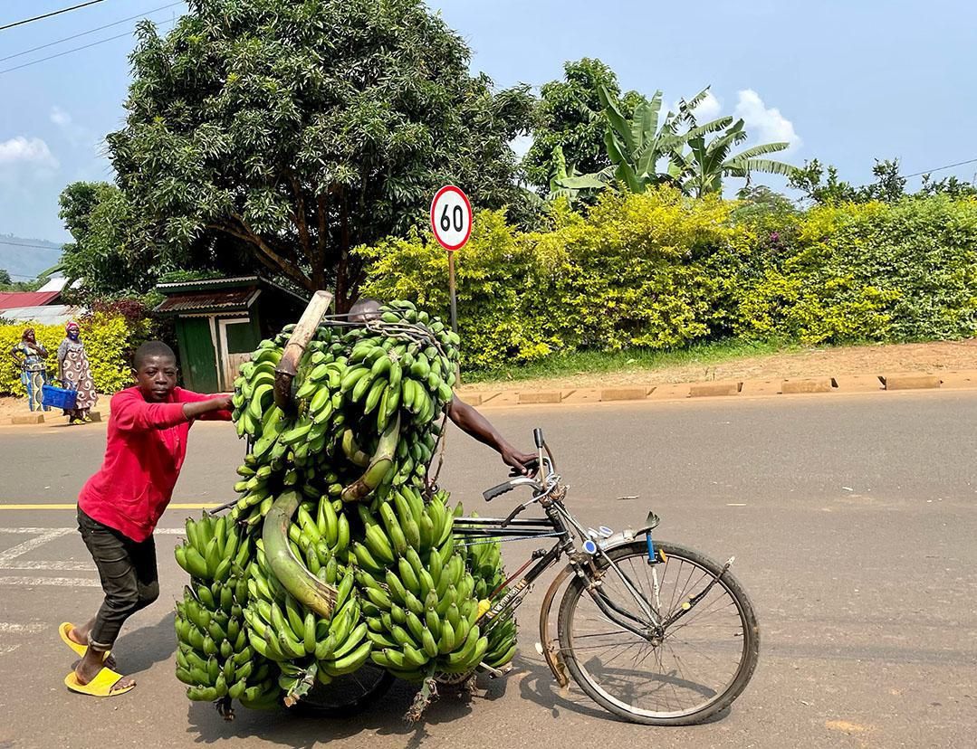 AVC News Ruanda AVC News Ruanda