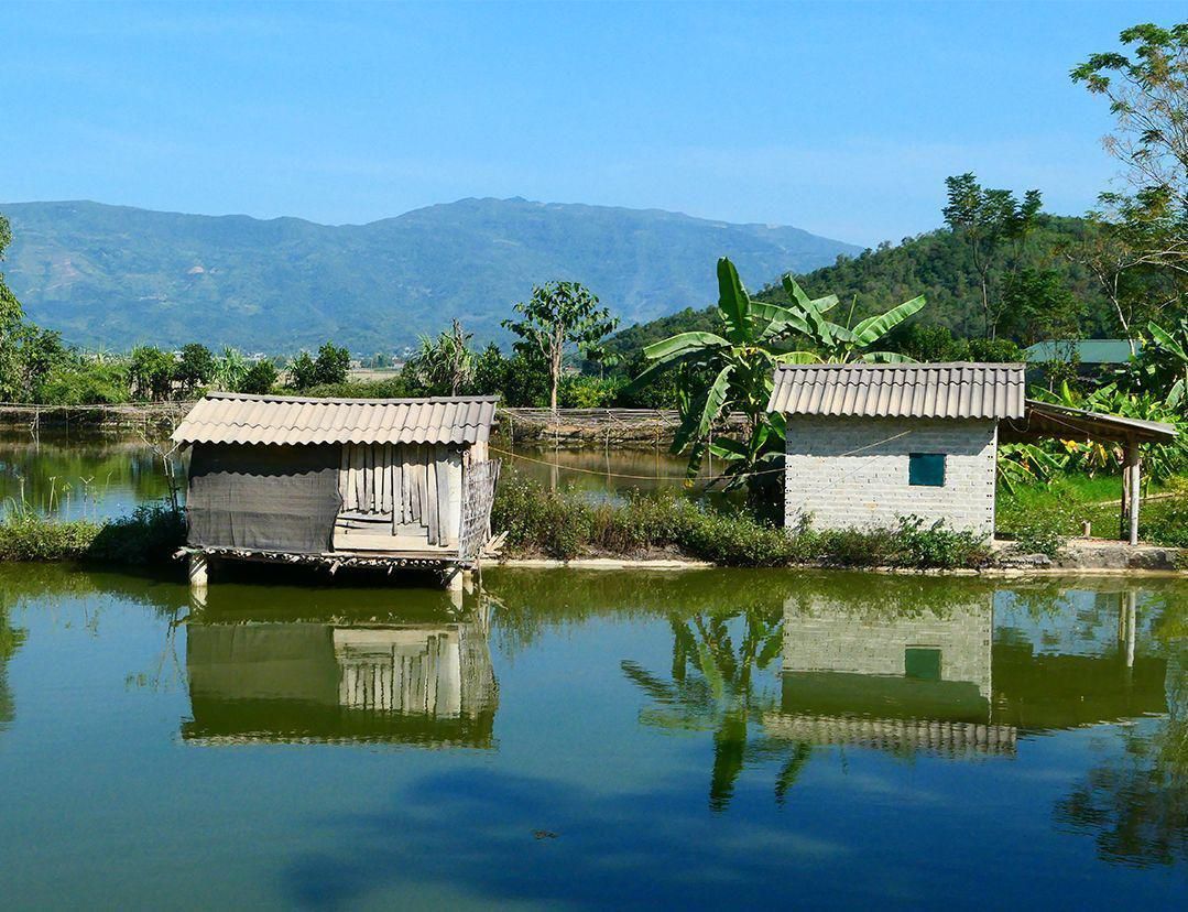 AVC News Vietnam Kirche