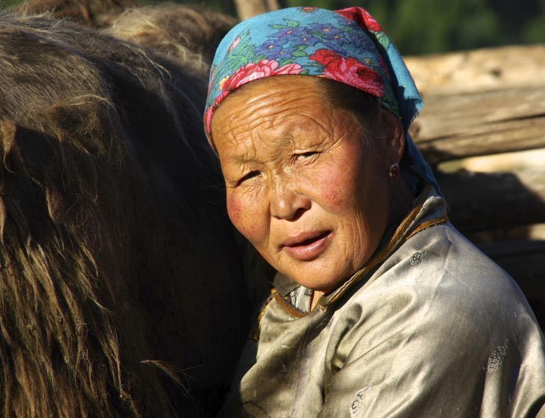AVC Mongolei Bild Frau AVC Mongolei Bild Frau