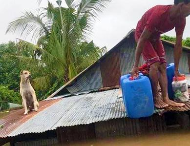 AVC Thailand Land des Lächelns