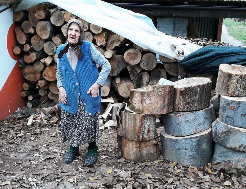 AVC Bosnien Holz AVC Bosnien Holz
